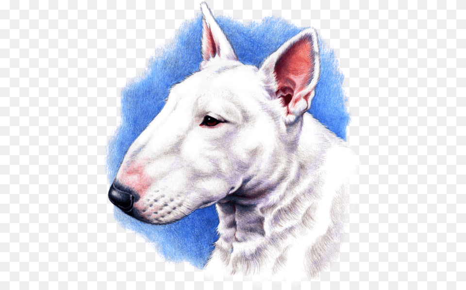 Dog Fabric Bull Terrier Fabric Custom Print Fabric, Animal, Canine, Mammal, Pet Free Png