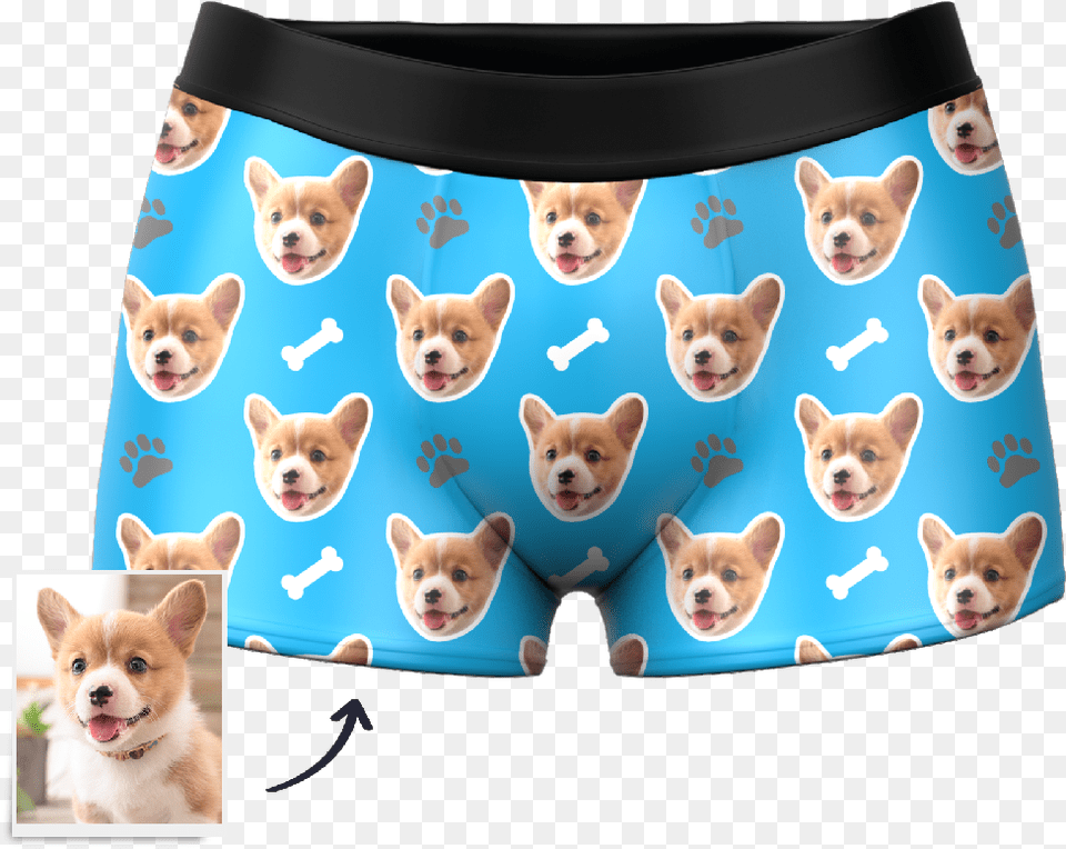 Dog Face Boxers Underwear, Clothing, Pet, Mammal, Animal Png
