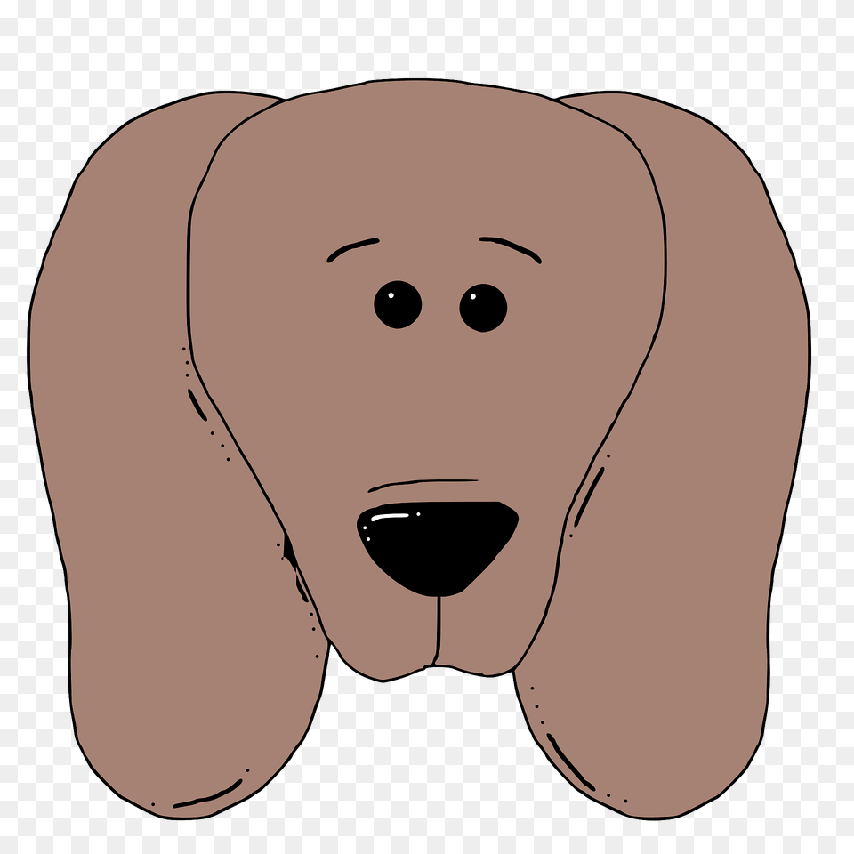 Dog Face Clipart, Snout, Animal, Bear, Mammal Png Image