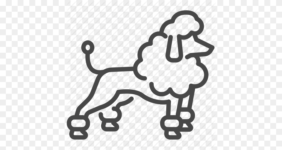 Dog Fashion France French Pet Poodle Icon, Stencil Free Png