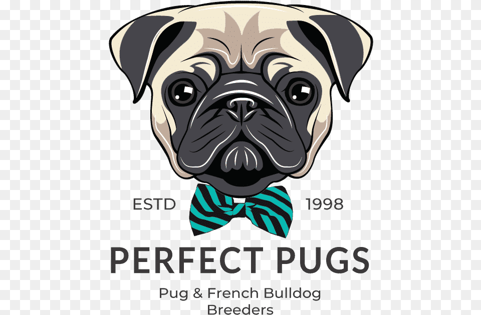 Dog Father Vector Pug Father39s Day Card, Accessories, Formal Wear, Tie, Baby Free Transparent Png