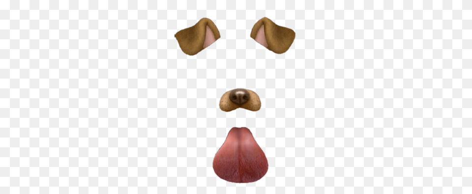 Dog Filter, Body Part, Flower, Mouth, Person Free Png