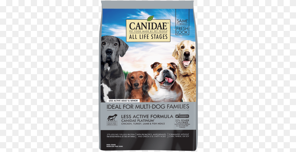 Dog Filter, Advertisement, Poster, Animal, Canine Free Transparent Png