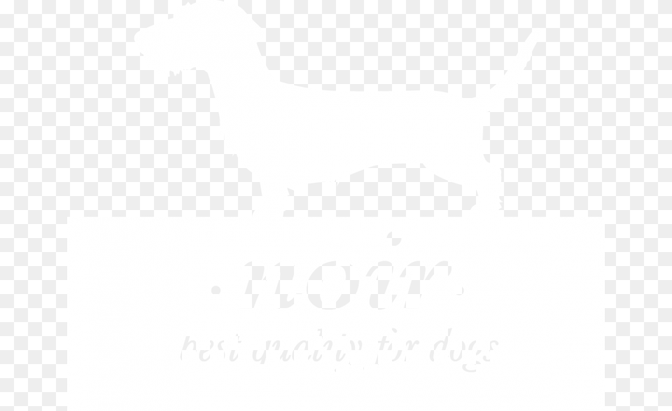 Dog Filter, Stencil, Animal, Canine, Mammal Png Image