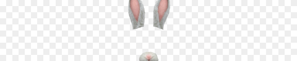 Dog Filter Image, Animal, Mammal, Rabbit Png