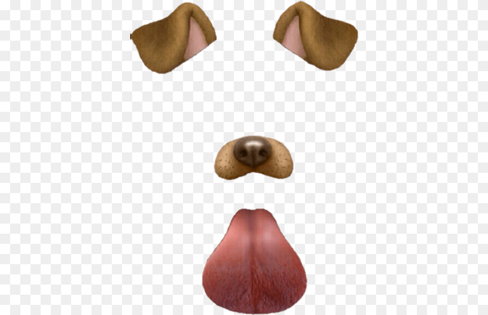 Dog Filter Snapchat Dog Filter, Tongue, Person, Mouth, Body Part Free Transparent Png