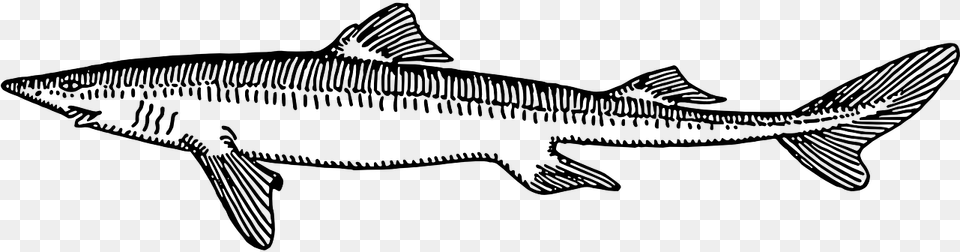 Dog Fish Black And White, Gray Free Png Download