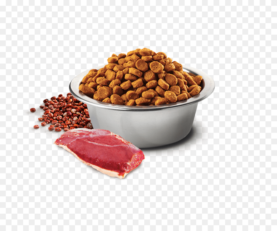 Dog Food, Bowl Png