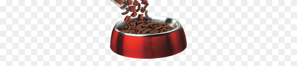 Dog Food, Bowl, Meal, Dish Png Image