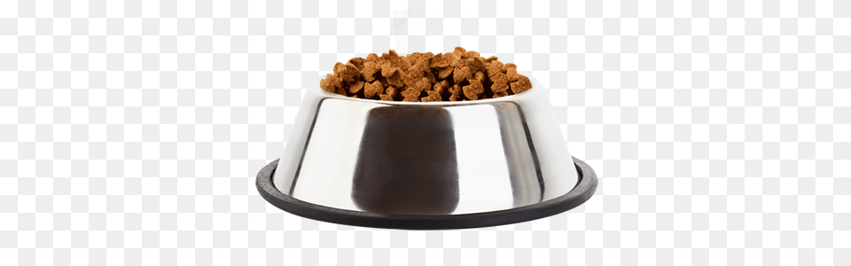 Dog Food, Bowl Png Image