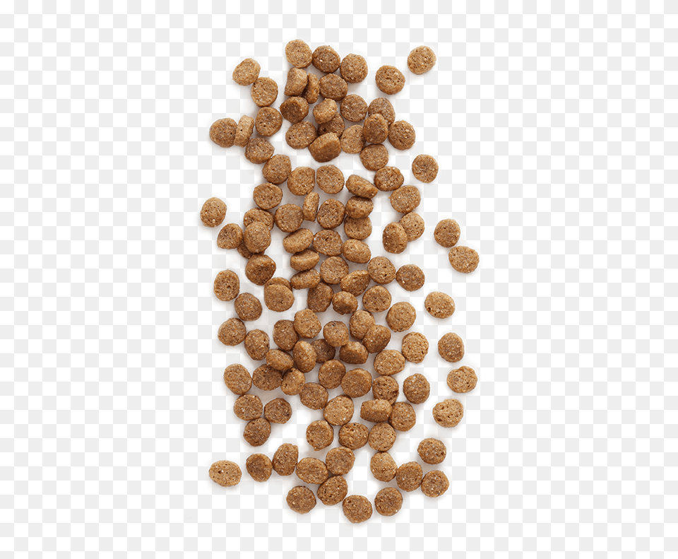 Dog Food, Produce, Bean, Plant, Vegetable Png