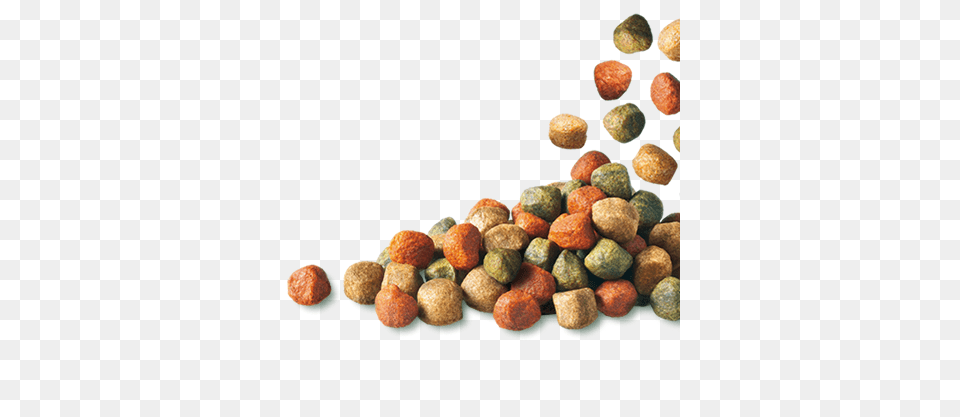 Dog Food, Pebble, Accessories Png Image