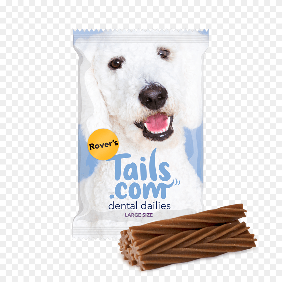 Dog Food Dog Breed Puppy Chew Toy, Animal, Canine, Mammal, Pet Free Png