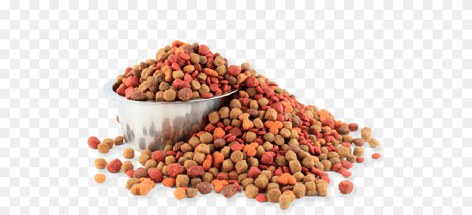 Dog Food Food Pet, Produce, Plant, Nut, Birthday Cake Free Png Download