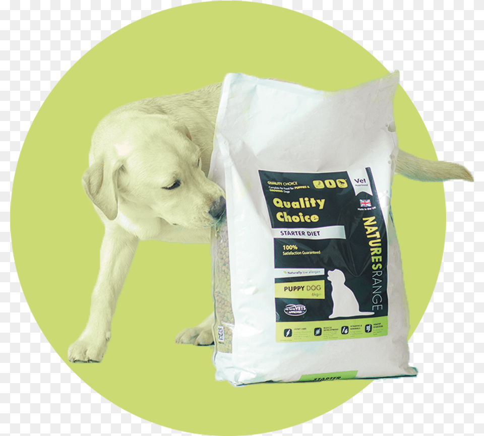 Dog Food Labrador Retriever, Bag, Animal, Canine, Mammal Free Png