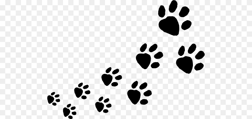 Dog Footprint Clipart Free Transparent Png