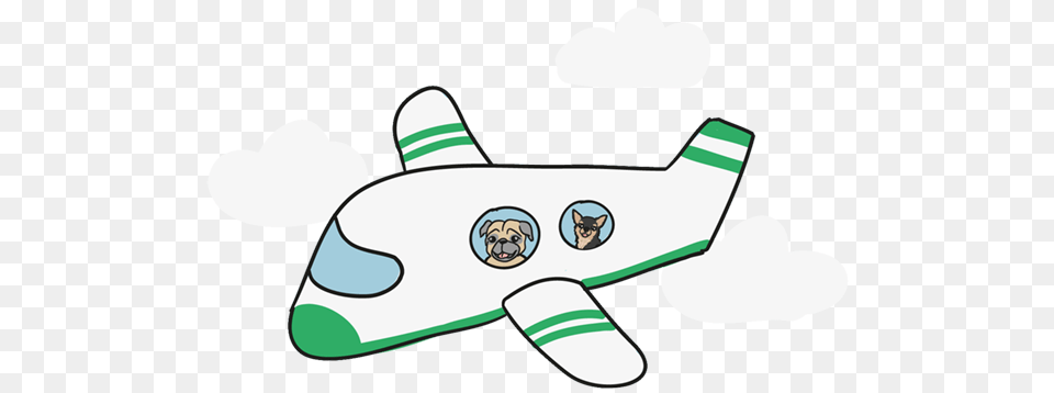 Dog Friendly Things To Do In Philadelphia, Person, Face, Head, Aircraft Png