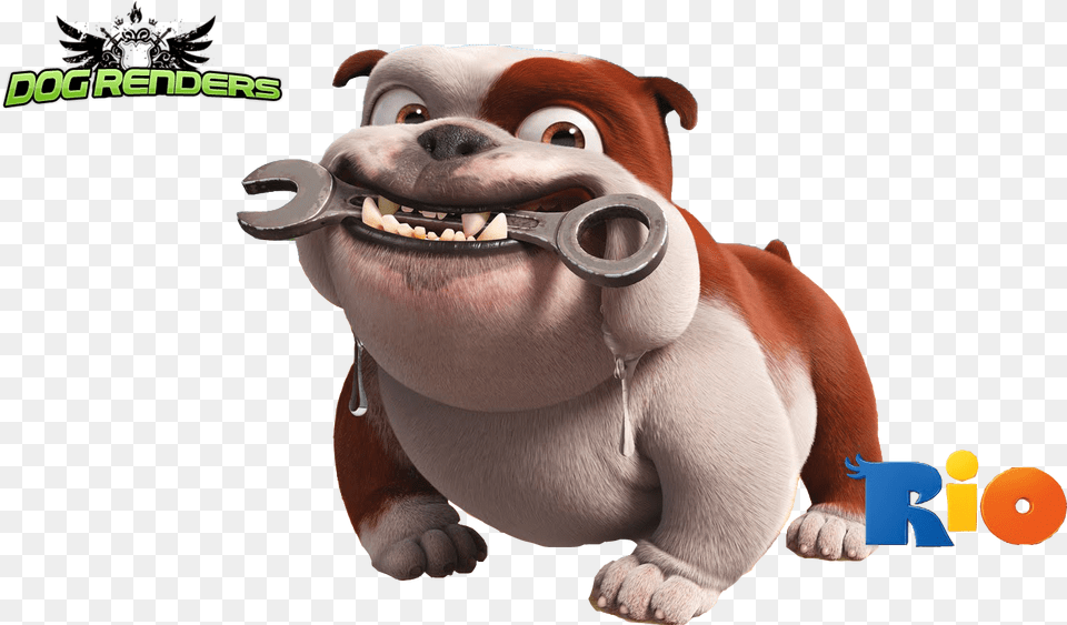 Dog From Rio, Snout, Animal, Canine, Mammal Free Png