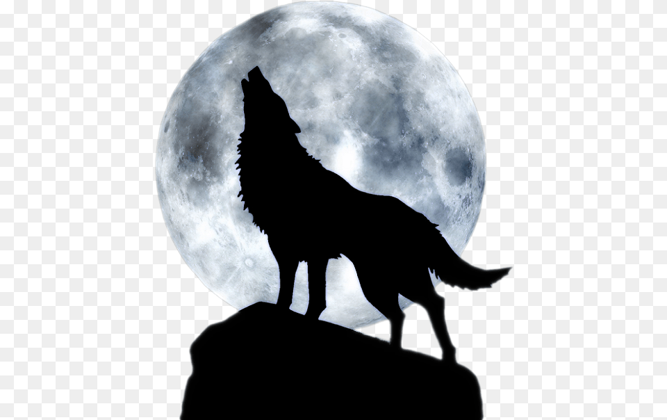 Dog Full Moon T Shirt Black Wolf Wolf Howling At The Moon, Astronomy, Nature, Night, Outdoors Free Png Download