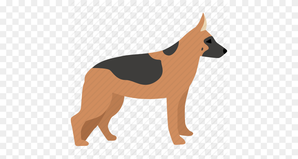 Dog German German Shepherd Guard Hound Shepherd Training Icon, Animal, Canine, German Shepherd, Mammal Free Transparent Png