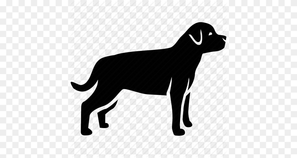 Dog German Guard Hound Kennel Pet Rottweiler Icon, Animal, Canine, Mammal, Pointer Png Image