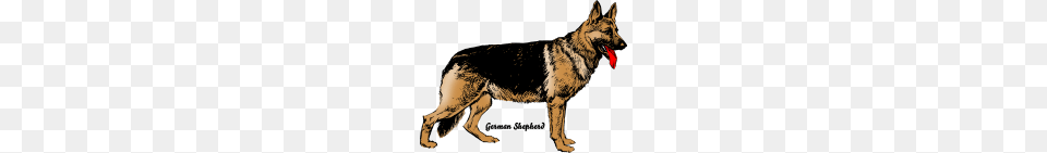 Dog German Shepherd, Animal, Canine, German Shepherd, Mammal Free Png