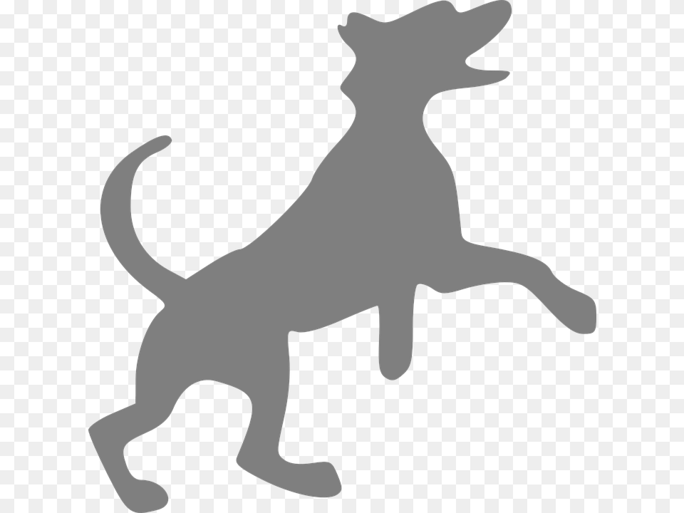 Dog Grey Canine Happy Jumping Do We Hear Sound, Silhouette, Baby, Person, Stencil Free Png