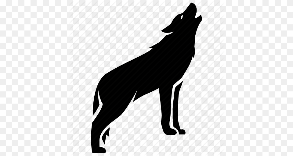 Dog Grey Howling Pack Timber Wild Wolf Icon, Animal, Coyote, Mammal, Silhouette Free Transparent Png