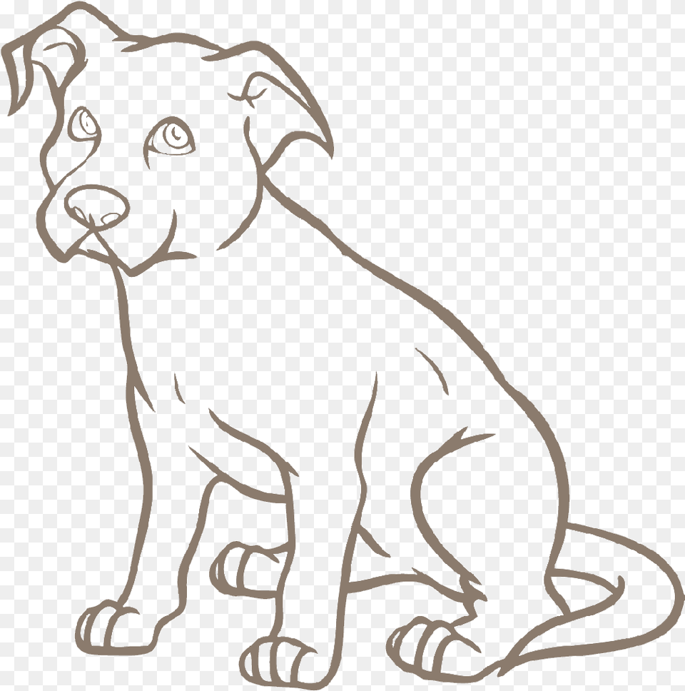 Dog Grooming Pitbull Drawing Easy Cartoon, Animal, Kangaroo, Mammal, Panther Png Image