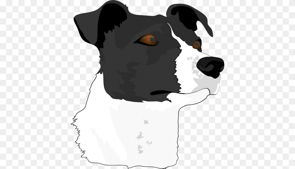 Dog Headdogterrieranimal Golova Sobaki, Baby, Person, Face, Head Free Transparent Png