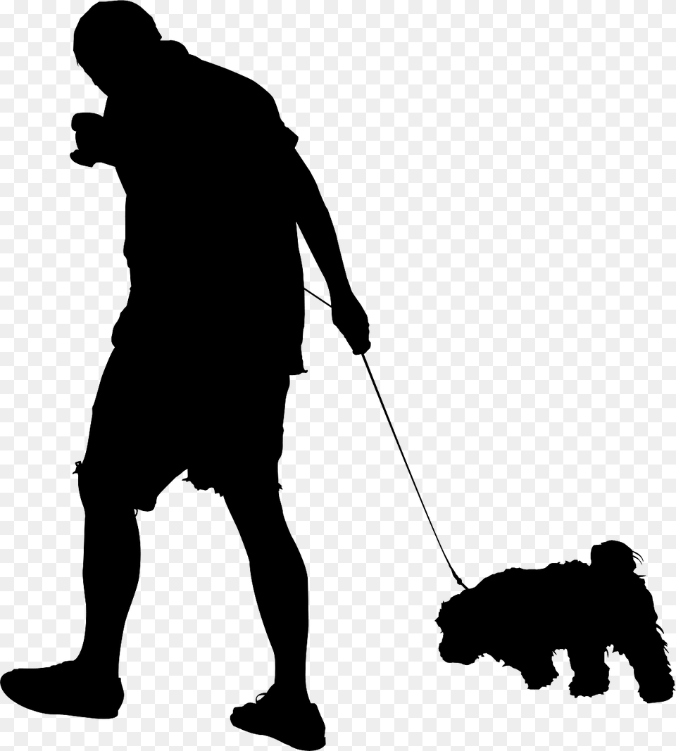 Dog Human Behavior Male Leash Dog Catches Something, Gray Png Image