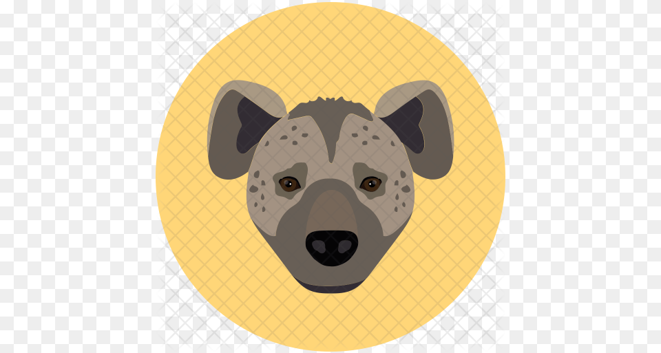 Dog Icon Bears, Face, Head, Person, Animal Png Image