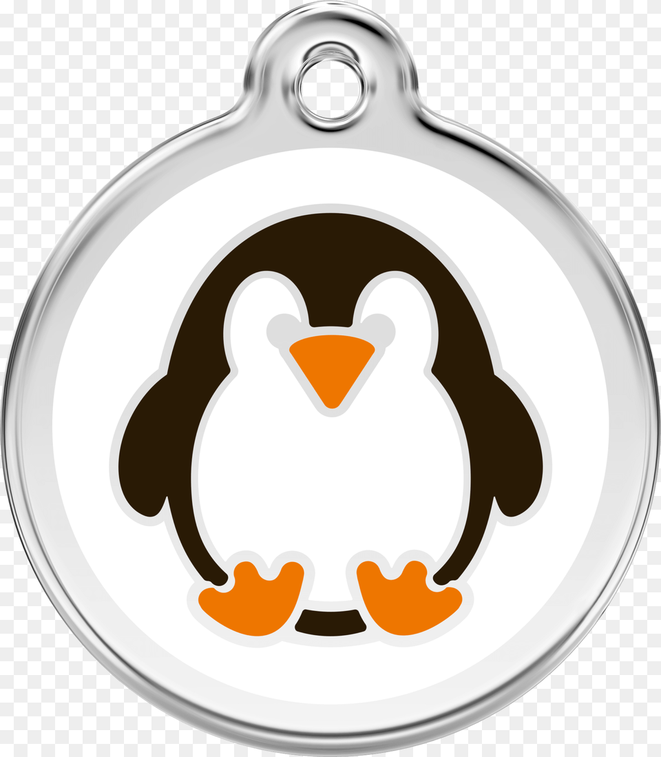 Dog Id Tag, Accessories, Animal, Bird, Plate Free Png Download