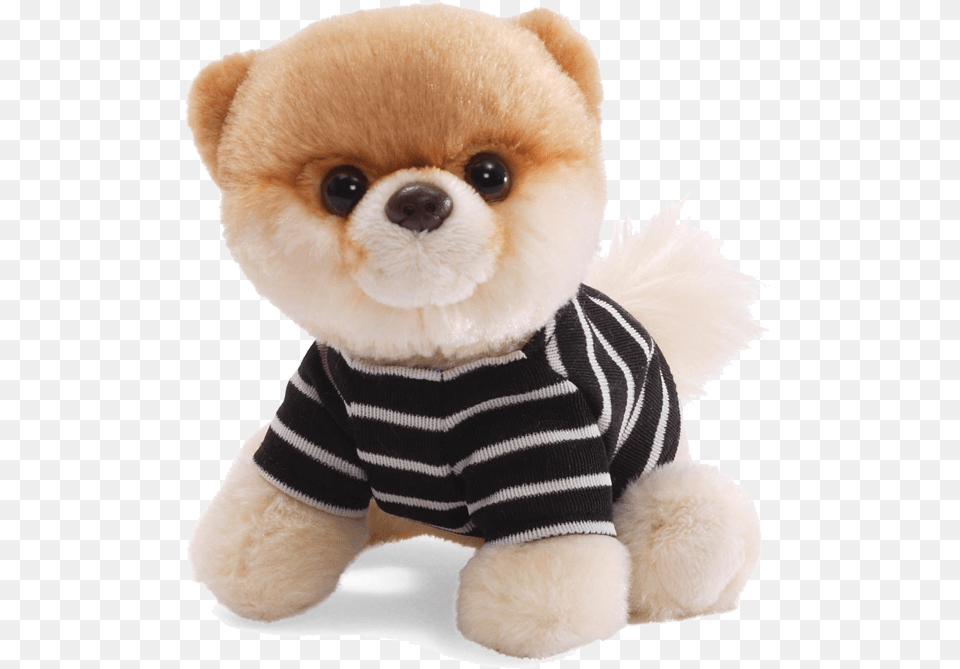 Dog Images Download Boo The World39s Cutest Dog Gund, Animal, Canine, Mammal, Pet Free Transparent Png