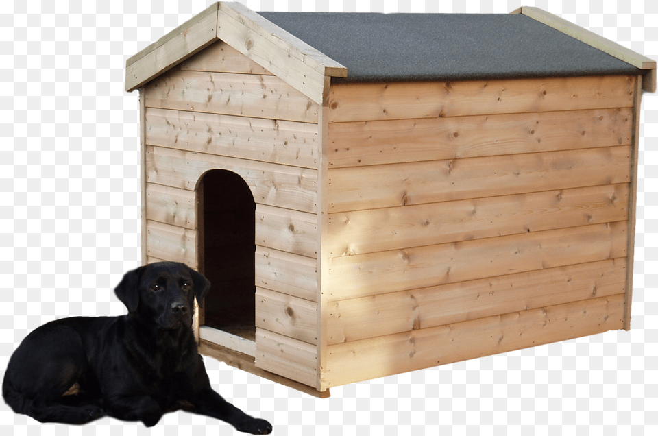 Dog In A Kennel, Den, Dog House, Indoors, Animal Free Png