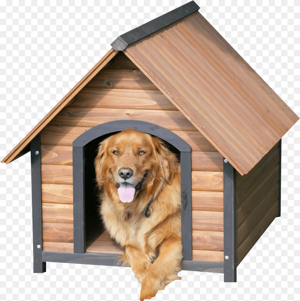 Dog In Cage Dog In Kennel, Dog House, Animal, Canine, Mammal Png Image