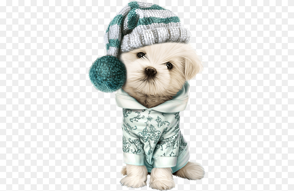 Dog In Clothes Clipart Clipart Transparent Stock Pin Cute Christmas Dogs Transparent, Hat, Cap, Clothing, Puppy Png Image