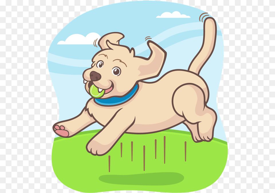 Dog Jumping And Catching A Tennis Ball Dog With A Ball Clipart, Tennis Ball, Sport, Person, Baby Free Transparent Png