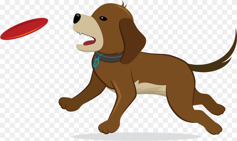 Dog Jumping For A Frisbee Puppy, Animal, Pet, Mammal, Hound Free Transparent Png