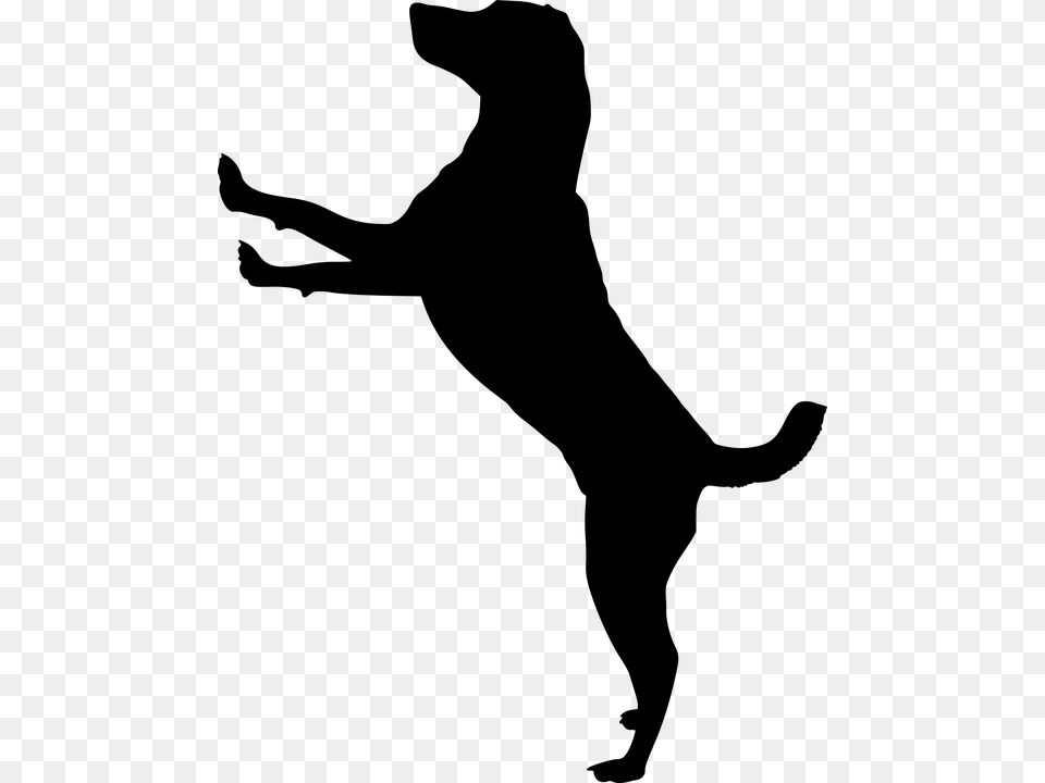 Dog Jumping Silhouette Clipart, Gray Free Transparent Png
