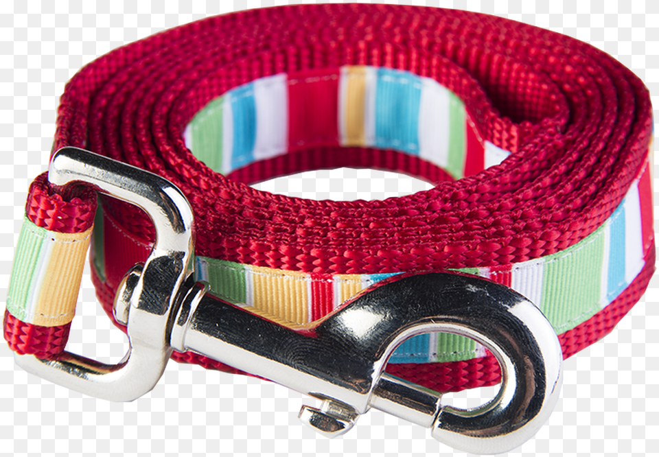 Dog Leash, Accessories, Buckle, Bag, Handbag Free Png Download