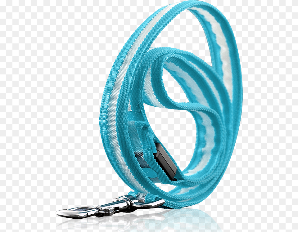 Dog Leash, Accessories Png