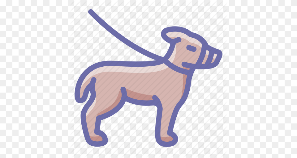 Dog Leash Pet Icon, Accessories, Animal, Mammal, Cat Free Png