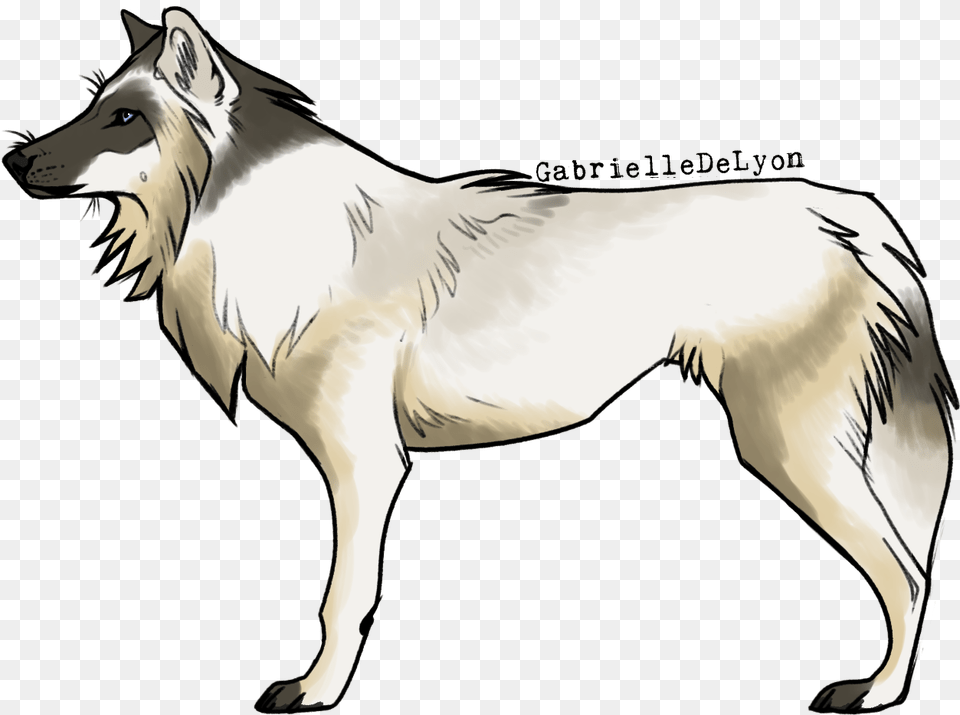 Dog Licks, Mammal, Animal, Canine, White Dog Png