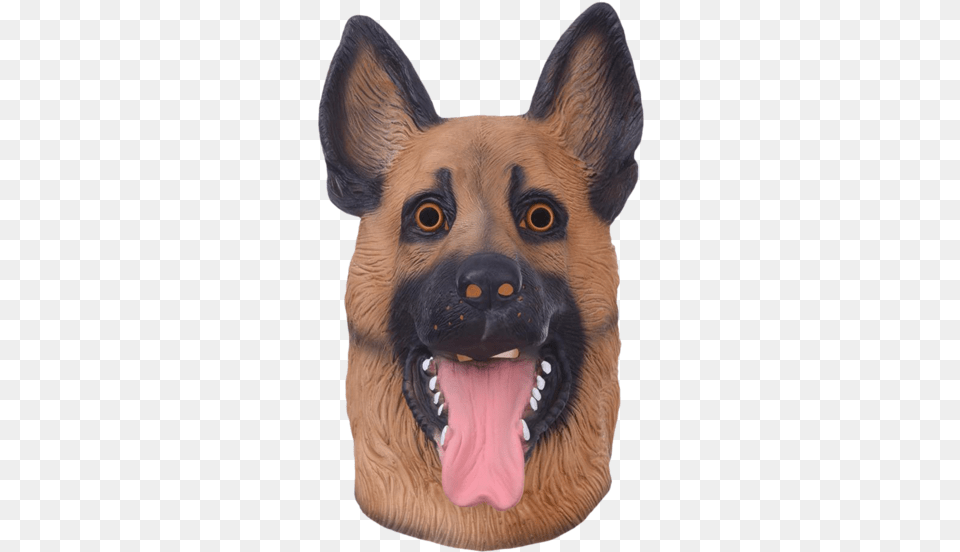 Dog Mask Transparent, Snout, Animal, Canine, Mammal Free Png