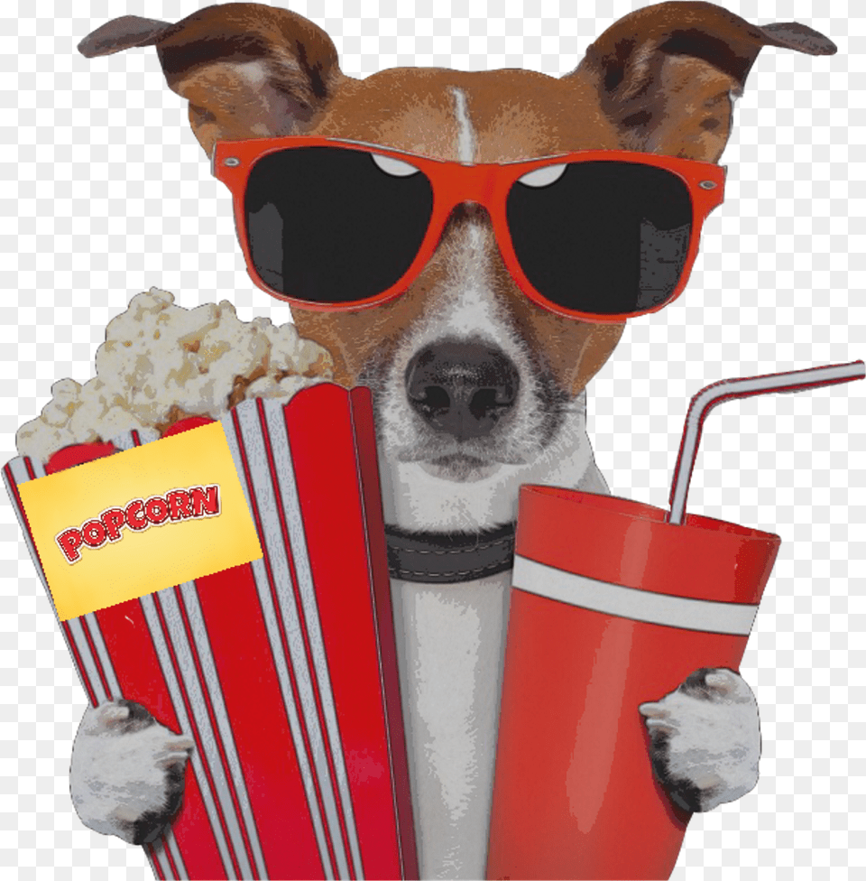 Dog Movie Sunglass Popcorn Movietheater Movietime Red Chien A Lunette Humour, Accessories, Sunglasses, Food, Weapon Png Image