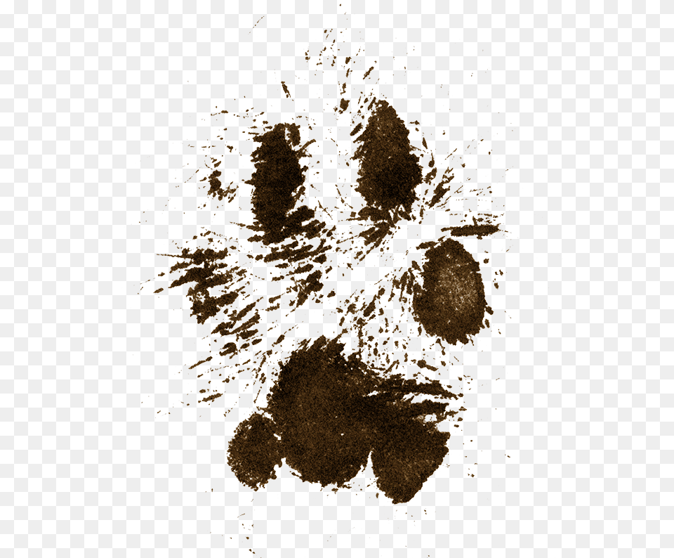 Dog Mud Pawprint Miss My Dog, Plant, Outdoors, Art, Nature Png Image