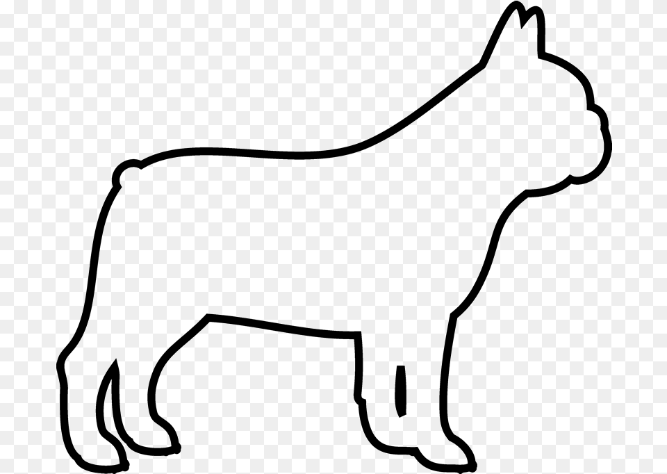Dog Outlines French Bulldog, Animal, Pet, Mammal, Canine Free Png Download