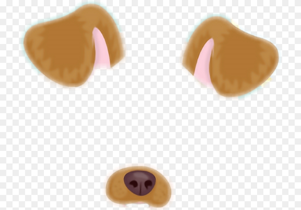 Dog Paddle Animal Doge Snapchat, Food, Sweets, Face, Head Png