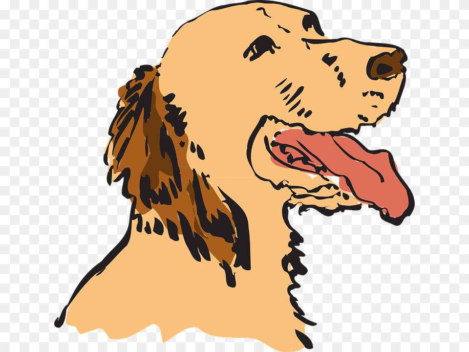 Dog Panting, Golden Retriever, Animal, Canine, Pet Free Png